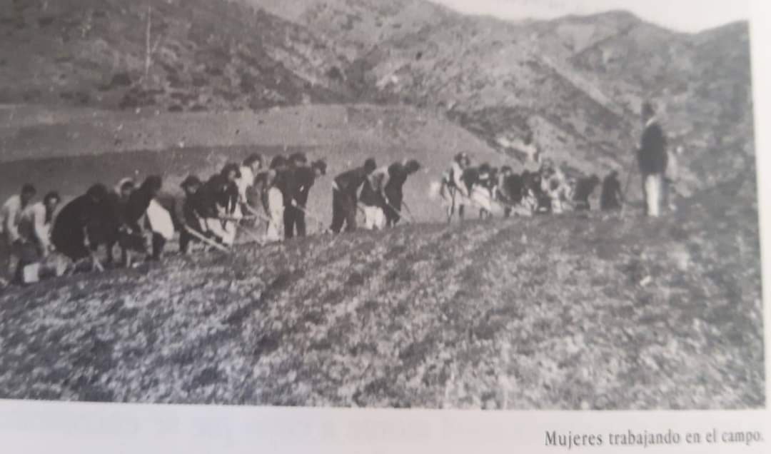 mujeres trabajando en campanillas