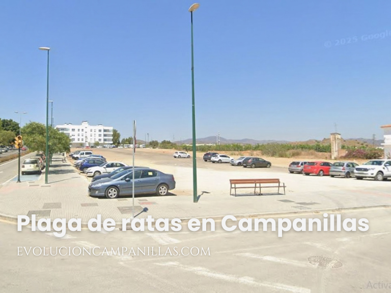 Solar donde se construirá la gran plaza de Campanillas